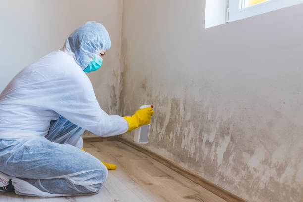 Licensed Bathroom Mold Removal service in McLean, TX - Car Mold Remediation