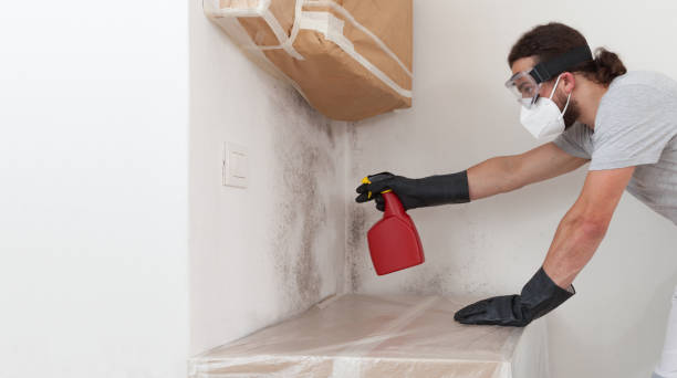 Professional Bathroom Mold Removal technician working in McLean, TX
