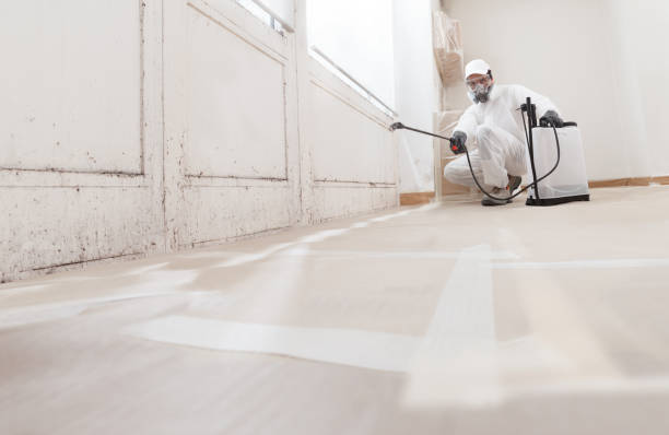 24/7 Emergency Bathroom Mold Removal experts in McLean, TX