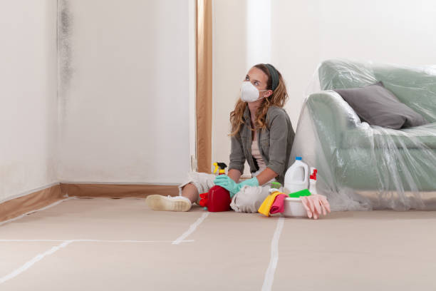 Reliable Bathroom Mold Removal contractor in McLean, TX by Car Mold Remediation