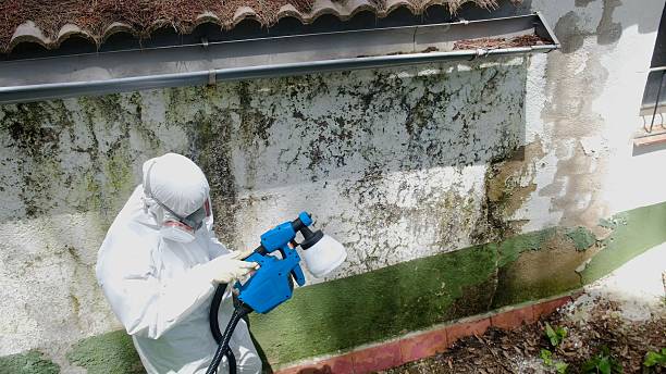 Top rated local Bathroom Mold Removal specialists in McLean, TX